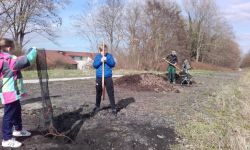 Plantations Cavalier   011